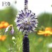 Purple Crystal Hanging Sun Catcher Fengshui Prism Pendant Wedding Gift Car Decor 602716344883  152223635709